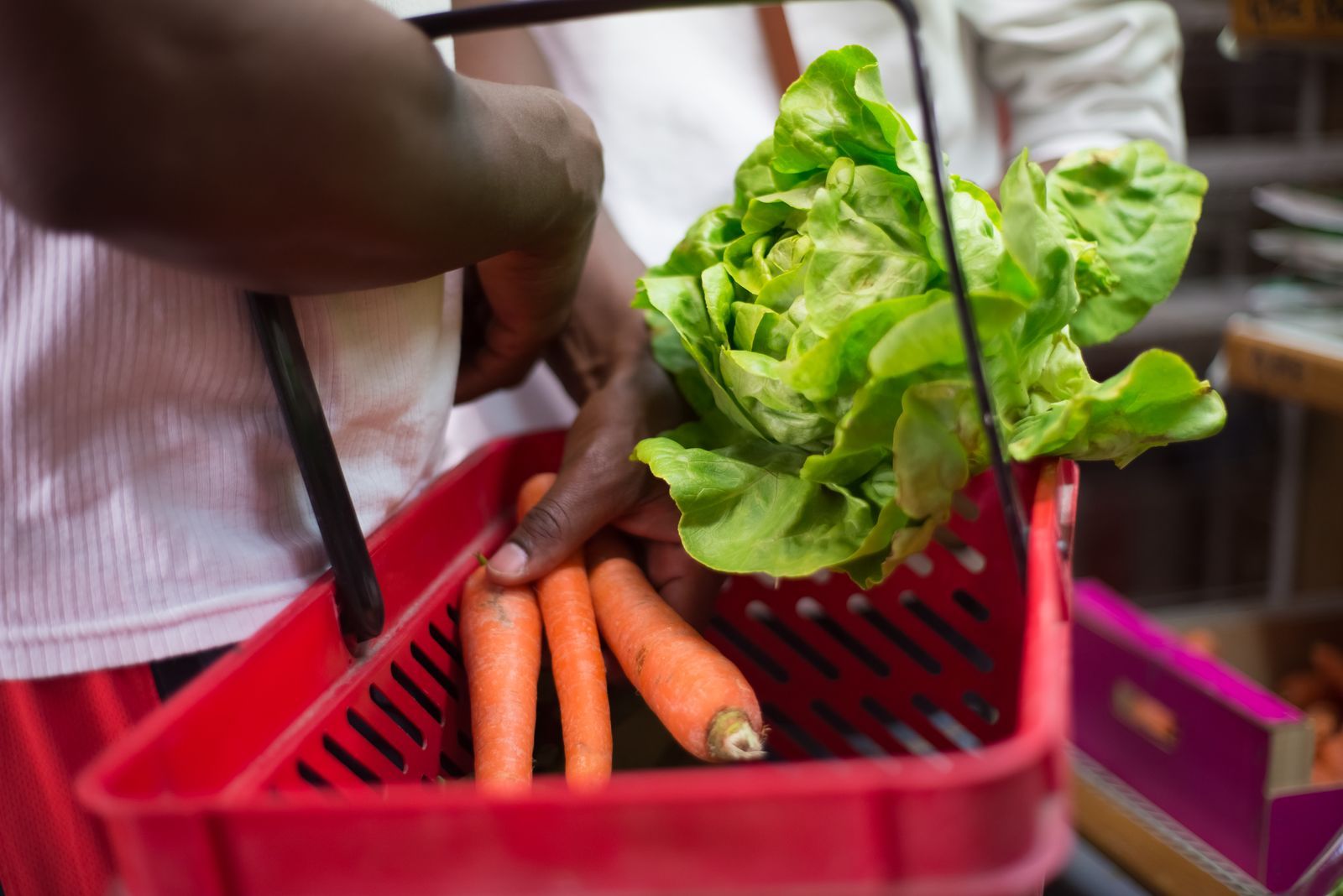 Courses alimentaires discount à Limoges : où trouver ses produits de base pas chers ?
