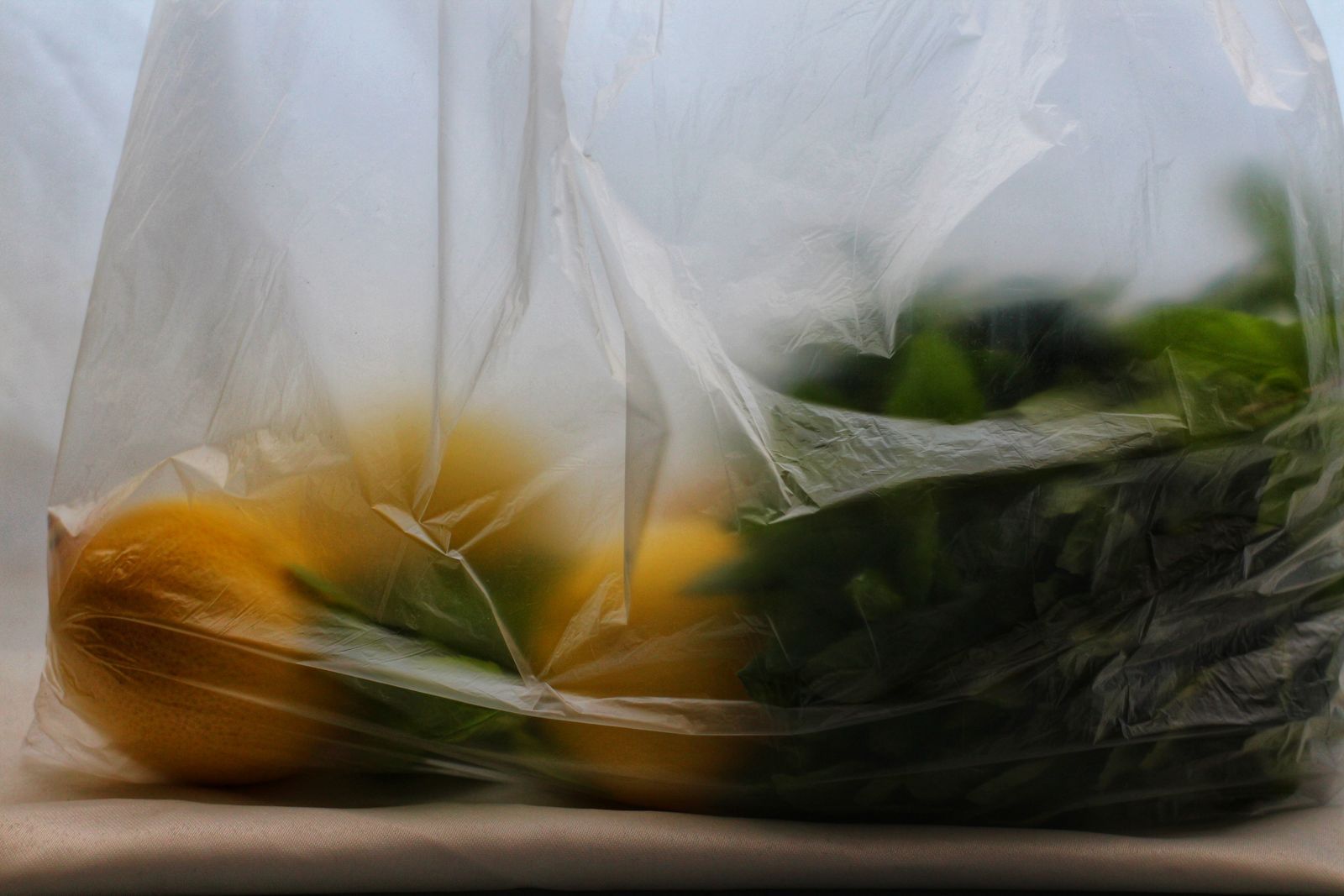 Courses Alimentaires Discounts à Rouen