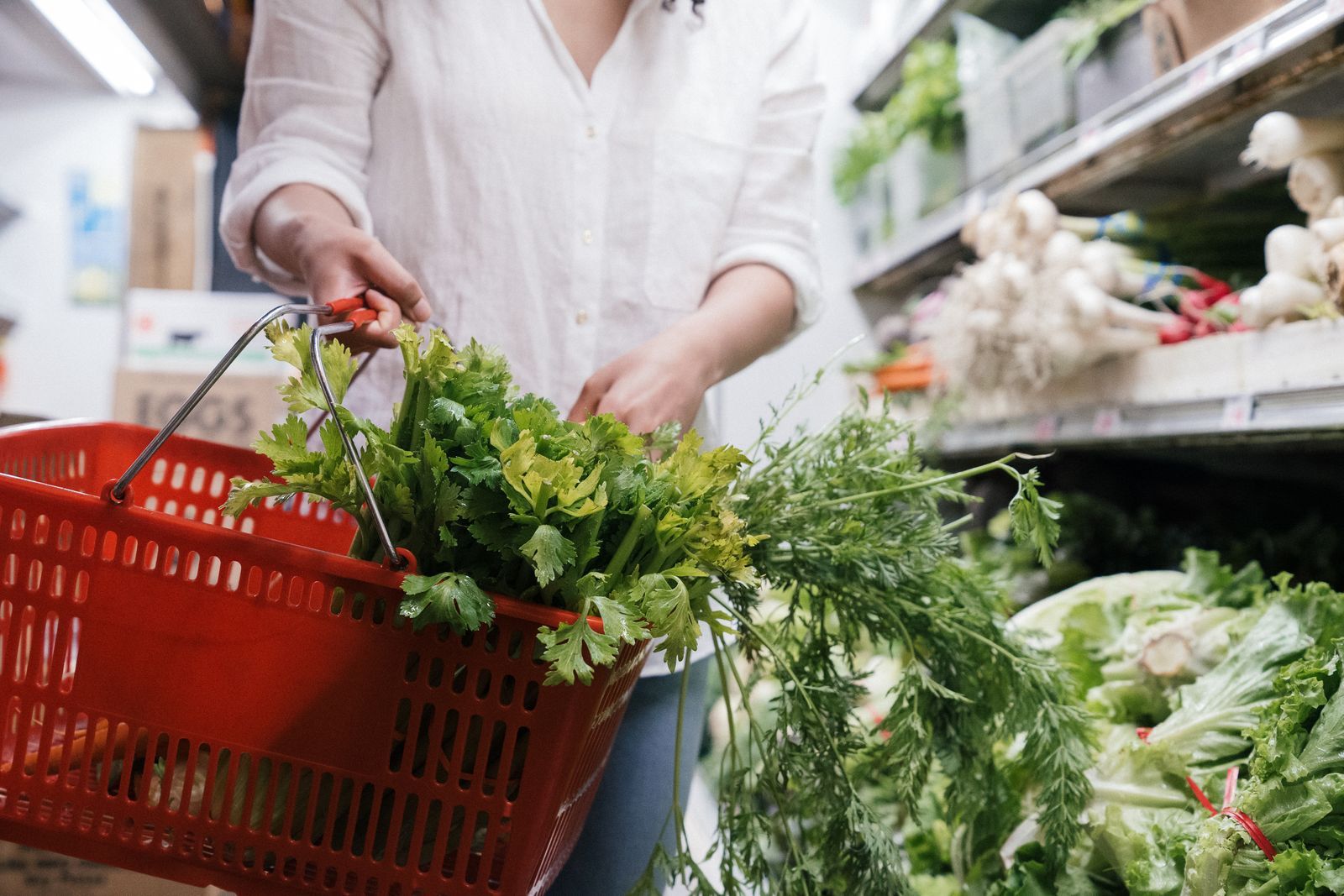Le hard discount alimentaire sur Lille
