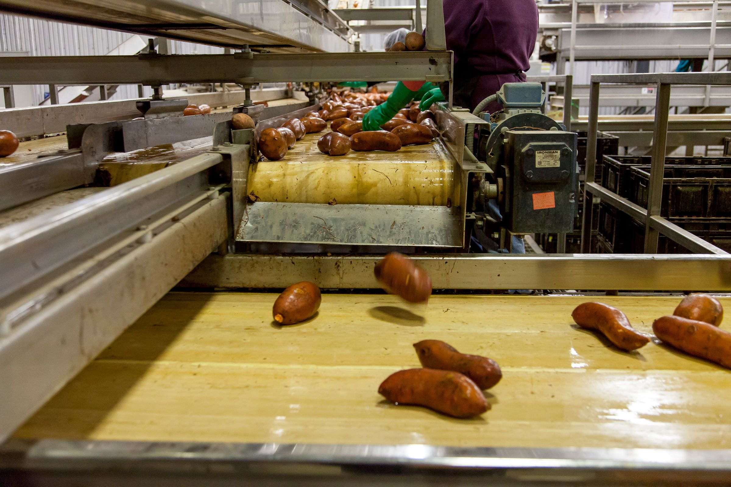 Magasins d'usine Chaîne de production dans une usine alimentaire